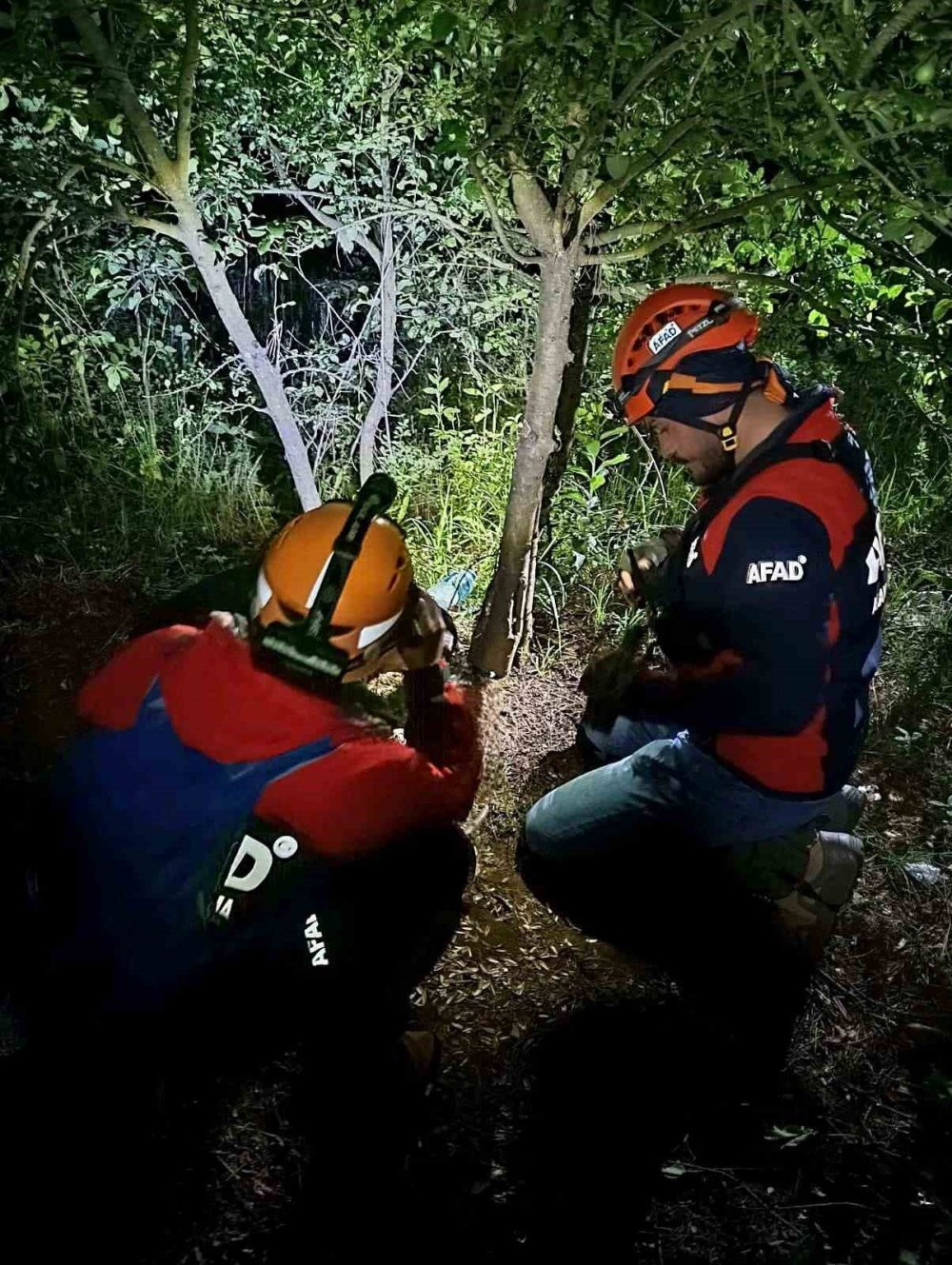 Yalova'da ormanda sır ölüm! Kayıp olarak aranıyordu, cansız bedeni bulundu
