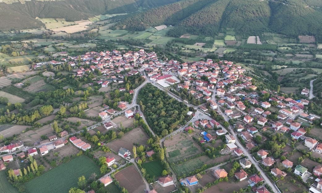 tokat.jpg