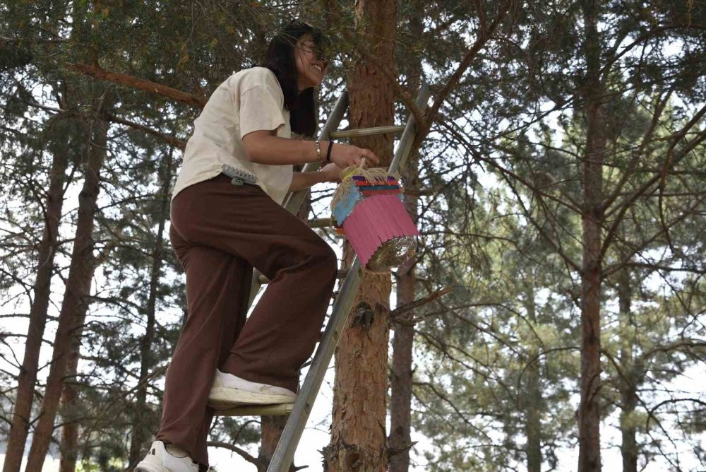 Öğrencilerden kuşlar için hummalı çalışma