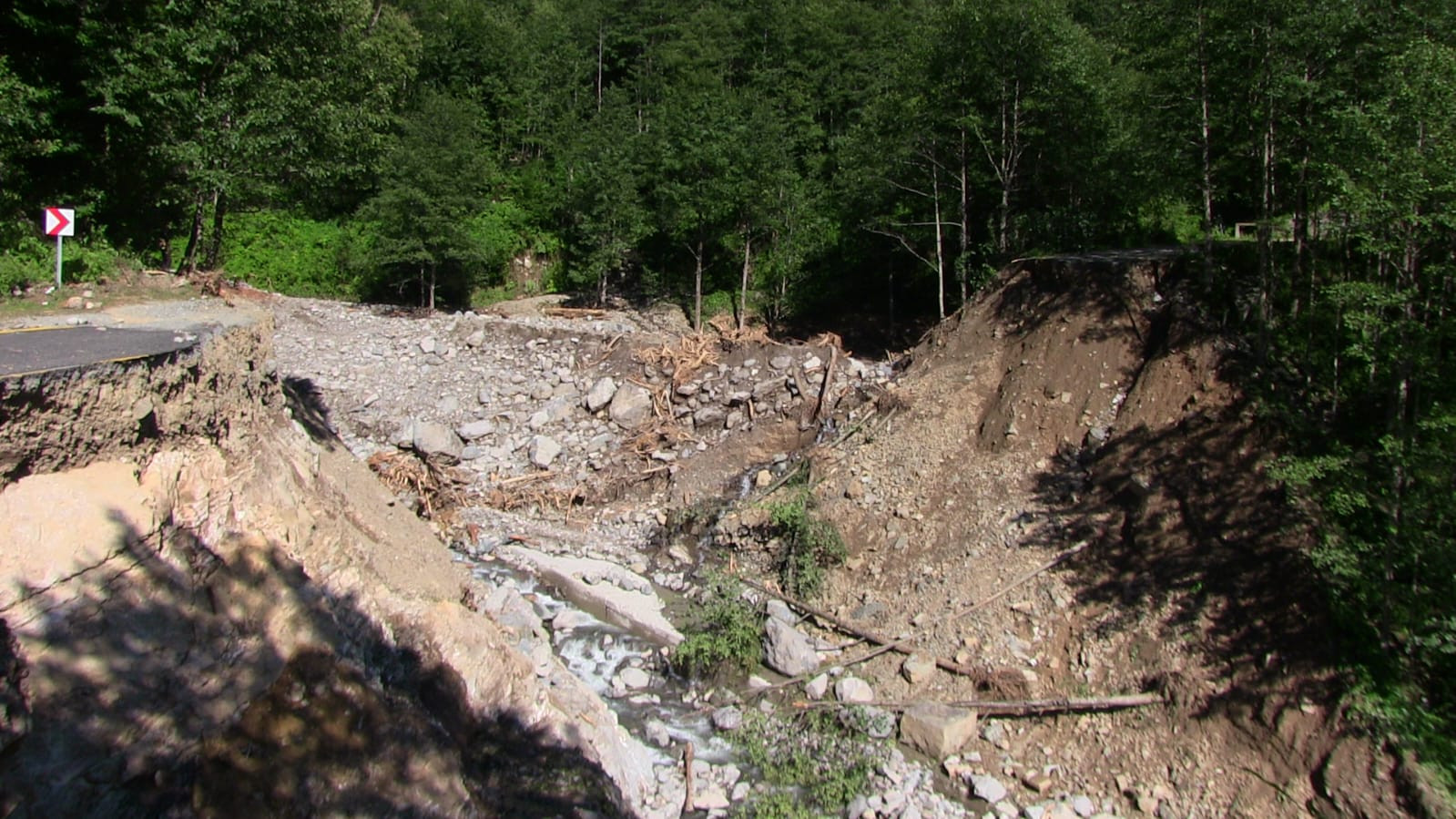 artvin-sel-gitti-copu-kaldi-rengi-degi-929977-276213.jpg