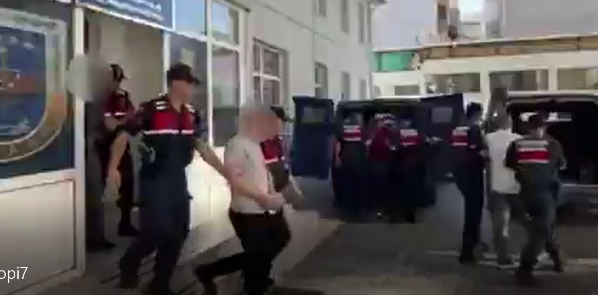 ali2.jpg