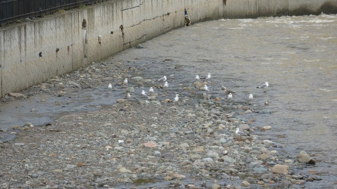 karadenizde-ani-dere-taskinlari-erken-uyari-sistemi-ile-ogrenilecek-4988-dhaphoto3.jpg